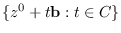 $\{z^0+t\mathbf{b}: t\in\mathbb{C}\}$